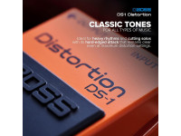 <b>DELUXE PACK BOSS DS-1 DISTORTION CABO BOSS BIC-10A-OR</b>
