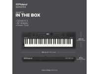 <b>Roland GO:KEYS 5 GT GRAPHITE Cinzento Escuro Teclado portátil Piano Sintetizador Arranger Ritmos Tecnologia ZEN-Core 61 teclas BEST-SELLER</b>