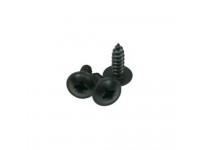 adam-hall-5544-blk-screw-pack_5ee8cf51da068.jpg