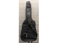 Alysée CL200CEG Guitarra Clássica Cutaway 4/4 Acabamento Brilhante