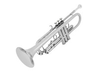 Amadeus TP 807N Nickel