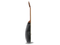 Applause Elite AE44 Mid Cutaway Vintage Varnish Satin