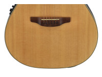 Applause   Elite AE44 Mid Cutaway