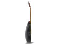 Applause   Elite AE44 Mid Cutaway