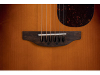 Applause   Wood Classics AEJ96-1 Jumbo Cut Electro