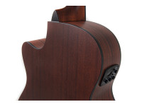 Applause   Wood Classics AEO96-M Orchestra Model Electro