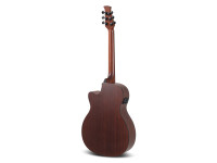 Applause   Wood Classics AEO96-M Orchestra Model Electro