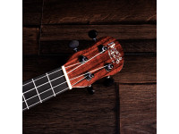 Barnes & Mullins Concert Ukulele Walnut 
