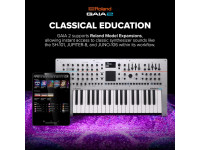 <b>Bundle Sintetizador Roland GAIA 2 + Saco Transporte Original Roland CB-B37</b>
