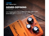 <b>DELUXE PACK BOSS DS-1 DISTORTION CABO BOSS BIC-10A-OR</b>