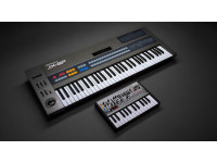 <b>PACK ICONIC SYNTH Roland JX-08 + KEYBOARD ROLAND K-25M</b>