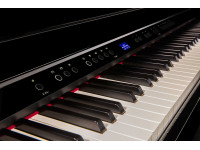 <b>Piano cauda digital eletrónico Roland GP-6 PE Preto Polido design acabamentos luxuosos BEST-SELLER</b>
