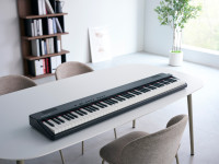 <b>Roland GO PIANO 88 PX PORTABLE GO-88PX Piano Iniciação Musical 88 Teclas</b>