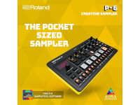 <b>Roland P-6 Creative Sampler Portátil 64-Patterns 20-Multi-FX microfone interno AIRA COMPACT</b>