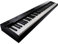 <b>Roland RD-88EX STAGE PIANO</b> 3.000 Sons inclui <b>EXPANSÃO ACOUSTIC PIANO 3</b> - Roland RD-88 EX Piano Profissional EXPANSÃO ACOUSTIC PIANO 3, Teclas Acão por Martelo + Sistema Som 2-vias (tweeter + woofer), 3.000 Sons + 400 Memórias SCENE + Patterns de Ritmos + Porta USB, Pian...