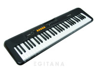 Casio CT-S100