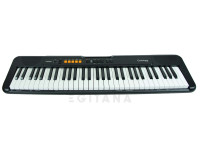 Casio CT-S100