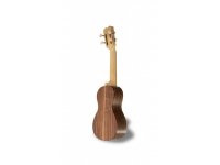 cavaquinho-apc-100-mt_55cc6c7be0244.jpg