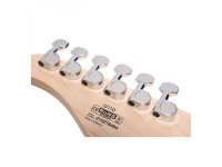 Cort  G110 Open Pore Sunburst