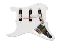 EMG DG20 Kit Pickguard David Gilmour 