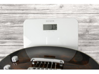 esp-eclipse-custom-tiger-eye-sb_6a5757f09ce0a.jpg