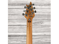 evh-wolfgang-special-qmt-solar_64ba3d979189d.jpg