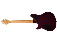 EVH  Wolfgang Special T.O.M OXB