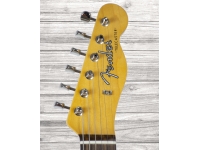 fender-american-jimmy-page-mirror-tele-rw-wbl_5eafdd0b75905.jpg