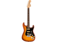 Fender  American Performer Spruce Stratocaster Rosewood Fingerboard Honey Burst