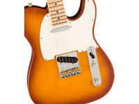 Fender  American Performer Telecaster Maple Fingerboard Honey Burst