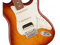 fender-american-pro-strat-ash-hss-mn-ssb_5ebd2989c8c37.jpg