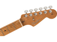 fender-american-professional-ii-roasted-maple-fingerboard-anniversary-2-color-sunburst_6595729b6b479.jpg