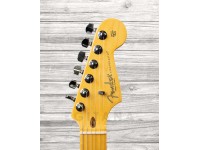 fender-american-professional-ii-stratocaster-mn-roasted-pine_5f8f15d59ccdc.jpg