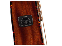 fender-california-deluxe-newporter-ce-pickguard-tortoiseshell-natural_6a883c25d405f.jpg
