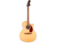 fender-california-deluxe-newporter-ce-pickguard-tortoiseshell-natural_6a883c2d0bfdd.jpg