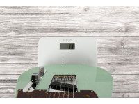 Fender Custom Shop 1963 Telecaster Journeyman Relic - Aged Surf Green
