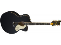Fender G5022CBFE Rancher Falcon Jumbo Fender G5022CBFE Rancher Falcon Jumbo
