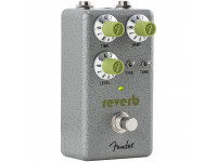 fender-hammertone-reverb_63d11f0ed1079.jpg