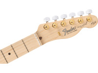 Fender  James Burton Maple Fingerboard Red Paisley Flames