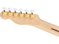 Fender  James Burton Maple Fingerboard Red Paisley Flames