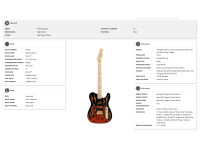 Fender  James Burton Maple Fingerboard Red Paisley Flames