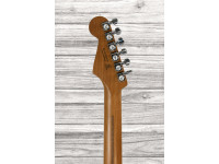 Fender  Limited Edition American Ultra Roasted Maple Fingerboard Honey Burst