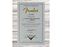 Fender Limited Edition Roasted Stratocaster Special NOS Aged Black