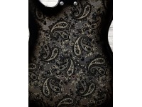 fender-ltd-japan-tele-black-paisley_5f3aad1c3078e.jpg