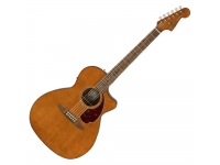 fender-ltd-newporter-player-mocha_5da49470dab0a.jpg
