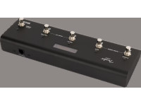 fender-ltx-5-footswitch_6900d3d040cb9.jpg