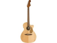 fender-newporter-player-natural_5ec7ce4bac371.jpg