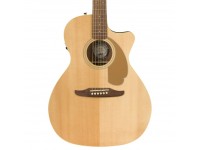 fender-newporter-player-natural_5ec7ce4dc7490.jpg