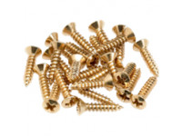 fender-pickguard-screws-gold_604f95ceac464.jpg