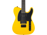 Fender Player II Adv Tele HH EB FYLW